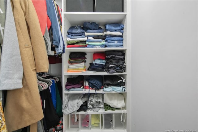 view of closet