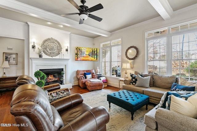 living room featuring beam ceiling, crown molding, ceiling fan, and hardwood / wood-style flooring