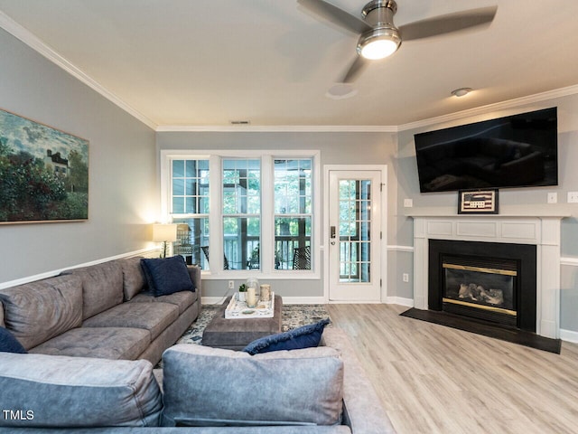 living room with hardwood / wood-style flooring, ceiling fan, and crown molding