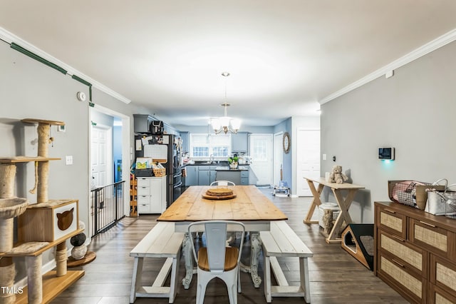 dining space featuring ornamental molding, dark wood-type flooring, and a chandelier