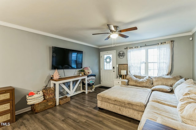 living room featuring ceiling fan, dark hardwood / wood-style flooring, and crown molding