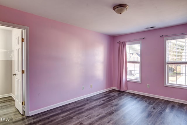 interior space featuring dark hardwood / wood-style floors, multiple windows, and a spacious closet