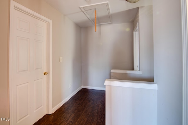 walk in closet with dark hardwood / wood-style floors