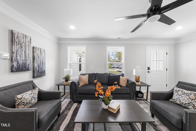 living room featuring ceiling fan and ornamental molding