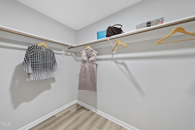 walk in closet with hardwood / wood-style flooring