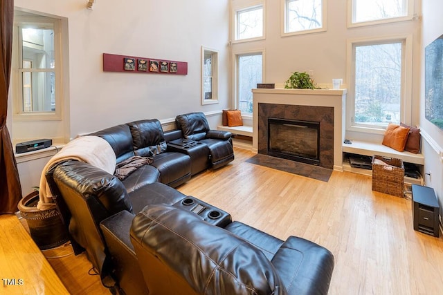 living room featuring light hardwood / wood-style floors