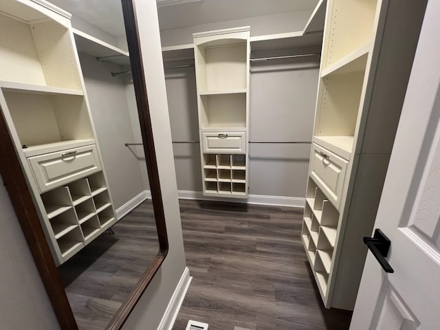 spacious closet featuring dark hardwood / wood-style floors