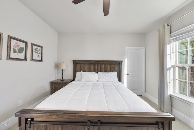 bedroom featuring ceiling fan, multiple windows, and carpet