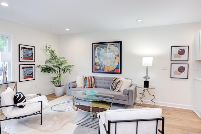 living room featuring light wood-type flooring