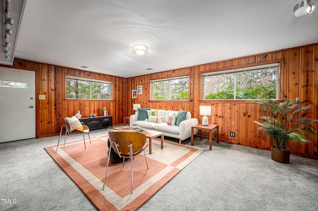 carpeted living room featuring a wealth of natural light, a textured ceiling, and wood walls