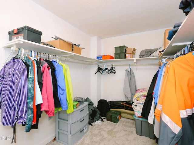 spacious closet with light colored carpet