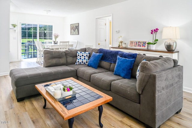 living room featuring light wood-type flooring