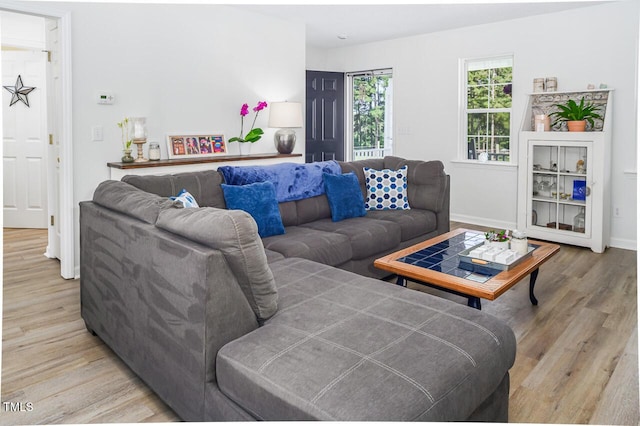 living room with light hardwood / wood-style floors