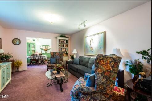 carpeted living room featuring rail lighting