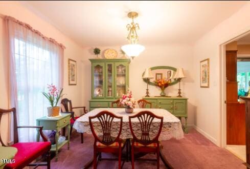 dining area featuring carpet flooring