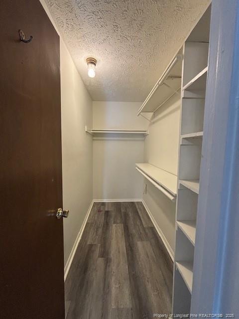 spacious closet featuring dark hardwood / wood-style floors