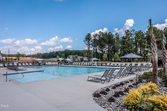 view of swimming pool featuring a patio