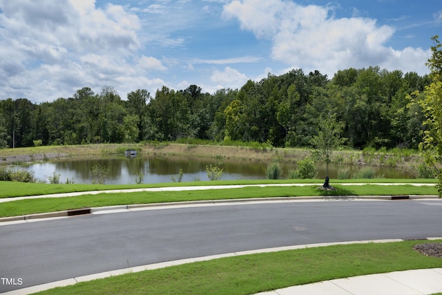 view of road with a water view