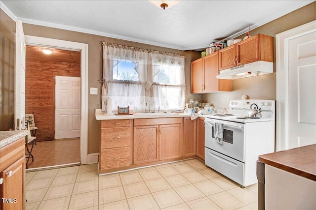 kitchen with white range with electric stovetop, ornamental molding, and sink