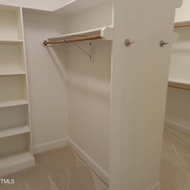 spacious closet with carpet flooring