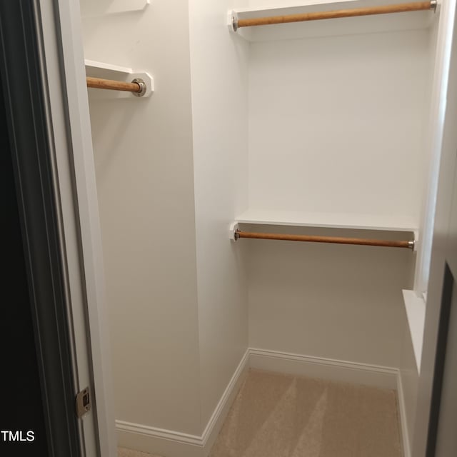 walk in closet with carpet flooring