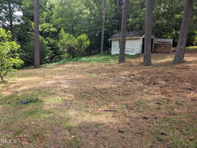 view of yard featuring a shed