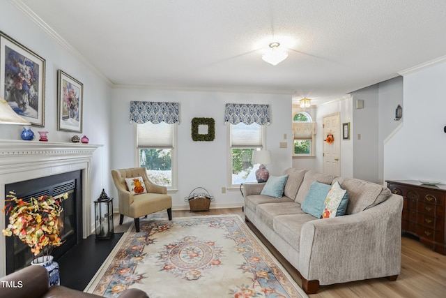 living room with wood-type flooring, a textured ceiling, and ornamental molding