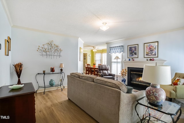 living room featuring crown molding, light hardwood / wood-style floors, and a textured ceiling