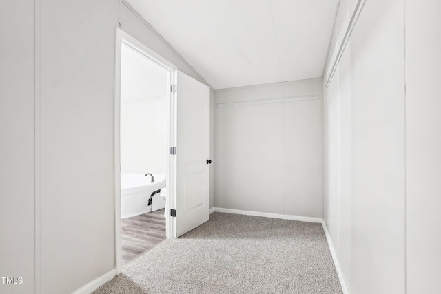 walk in closet with carpet flooring