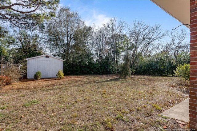 view of yard featuring a shed