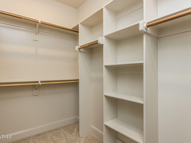 1804 Bright Lantern Way, Wendell, NC 27591 - photo 23