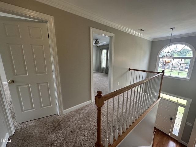 staircase featuring carpet flooring, ceiling fan with notable chandelier, a wealth of natural light, and crown molding