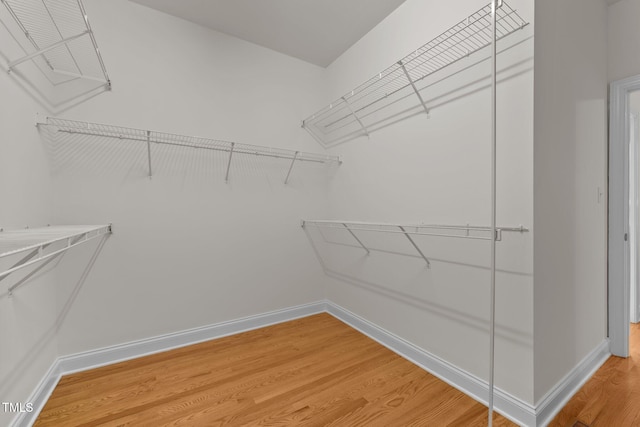 spacious closet featuring hardwood / wood-style floors