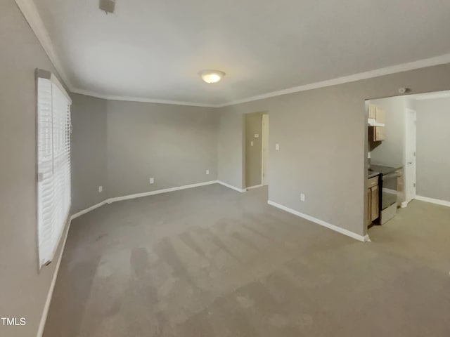 311 Burnette St, Durham, NC 27707 - unfurnished bedroom with light colored carpet and ornamental molding