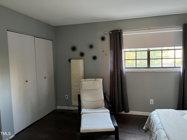 bedroom featuring a closet and dark wood-type flooring