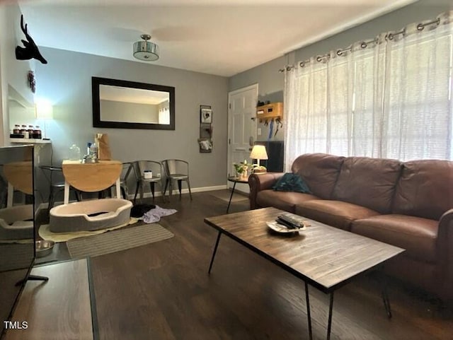 living room featuring dark hardwood / wood-style flooring