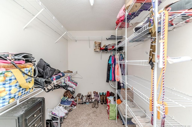 spacious closet with carpet floors