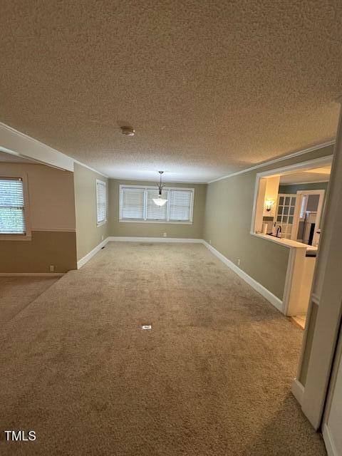 basement with carpet and a textured ceiling