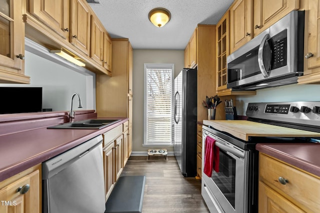 kitchen with stainless steel appliances, sink, a textured ceiling, and dark hardwood / wood-style flooring