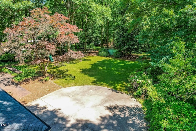 5205 Rembert Dr, Raleigh, NC 27612 - view of green lawn