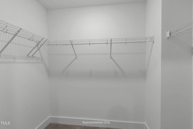 walk in closet with carpet floors