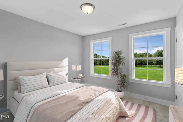 bedroom with carpet floors