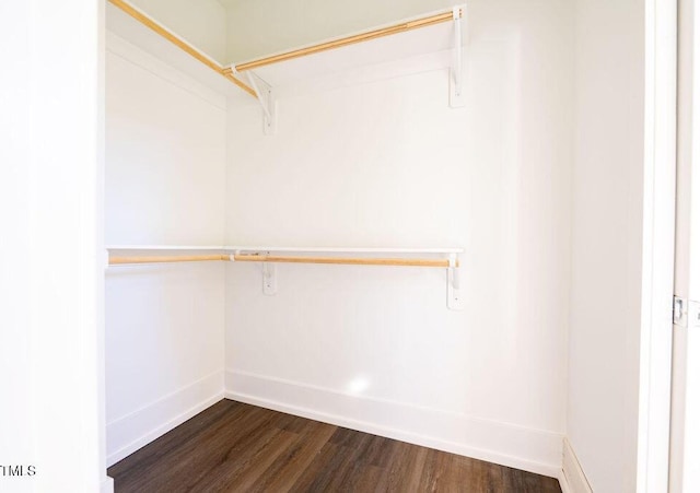 walk in closet with dark hardwood / wood-style floors