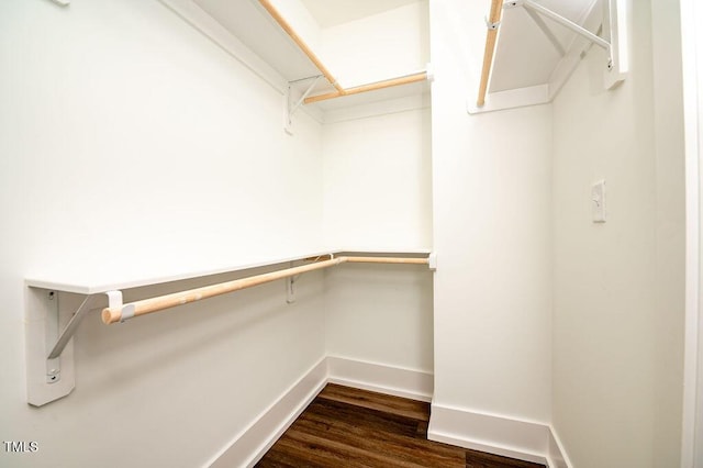 walk in closet featuring dark wood-type flooring