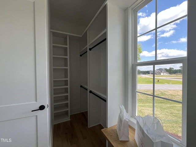 25 Deer Tail Ln Lot 52, Fuquay Varina, NC 27526 - walk in closet featuring dark wood finished floors
