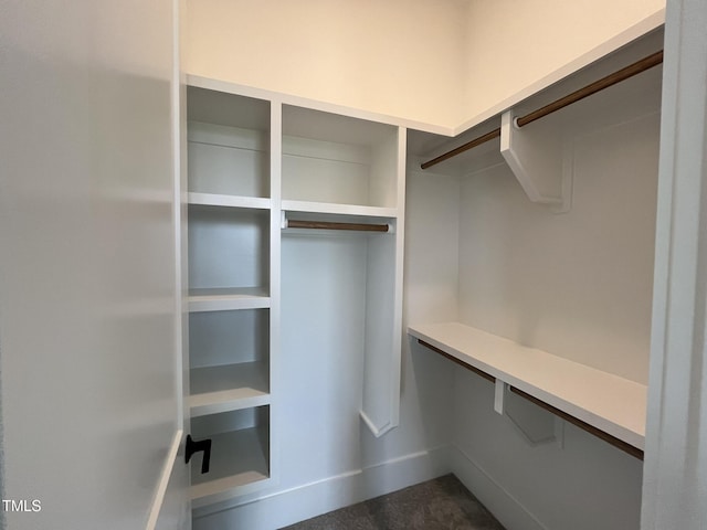 25 Deer Tail Ln Lot 52, Fuquay Varina, NC 27526 - view of spacious closet