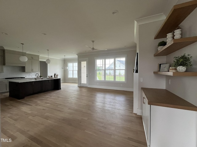 25 Deer Tail Ln Lot 52, Fuquay Varina, NC 27526 - kitchen with a ceiling fan, ornamental molding, light wood-type flooring, baseboards, and a sink