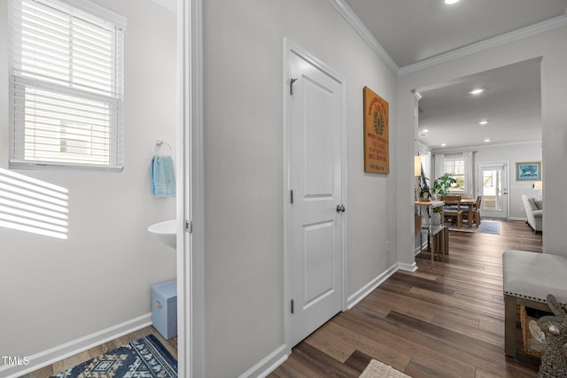 hall with dark hardwood / wood-style floors and crown molding