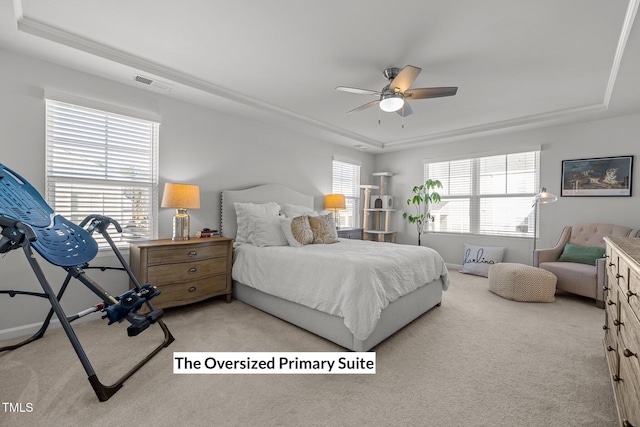 carpeted bedroom featuring a tray ceiling and ceiling fan