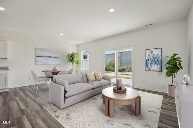 living room with hardwood / wood-style flooring